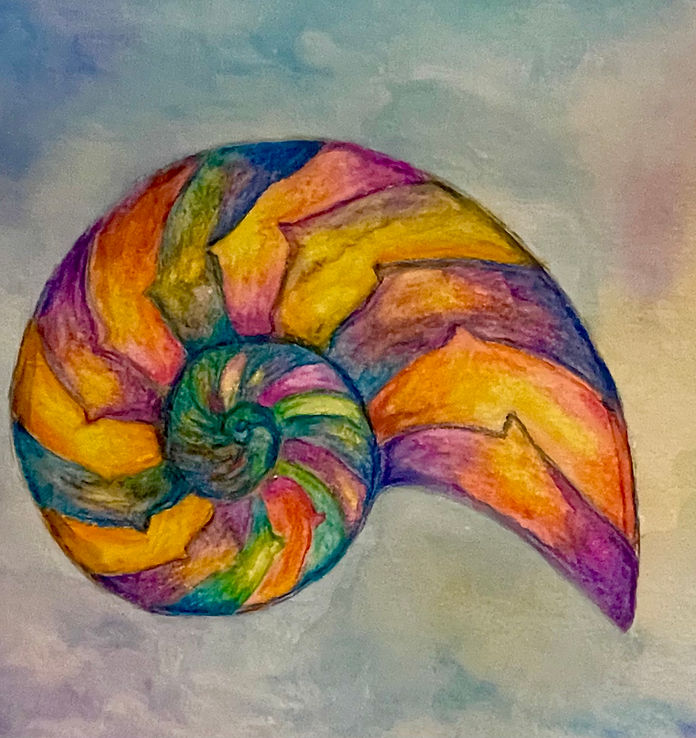 nautilus.jpeg