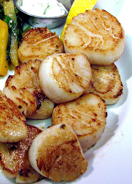 Scallops.jpg