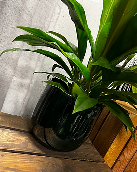 Dekorāciju noma, podestu noma, statīvu noma, deko, dekorācijas, noma, hugoevent noma, galda dekori, paklāji, spilveni, pasākumu noformēšana, pasākumu dekorācijas, eventrent, spuldzīšu noma, lampu noma, pasākumu organizēšana, dizaina noma, deco noma, stendu noformējums, vides noformējums, pasākumu rekvizīti, grozu noma, puķu podu noma, svečturu noma, vāzes noma, event deco, dekorāciju īre, hugoevent