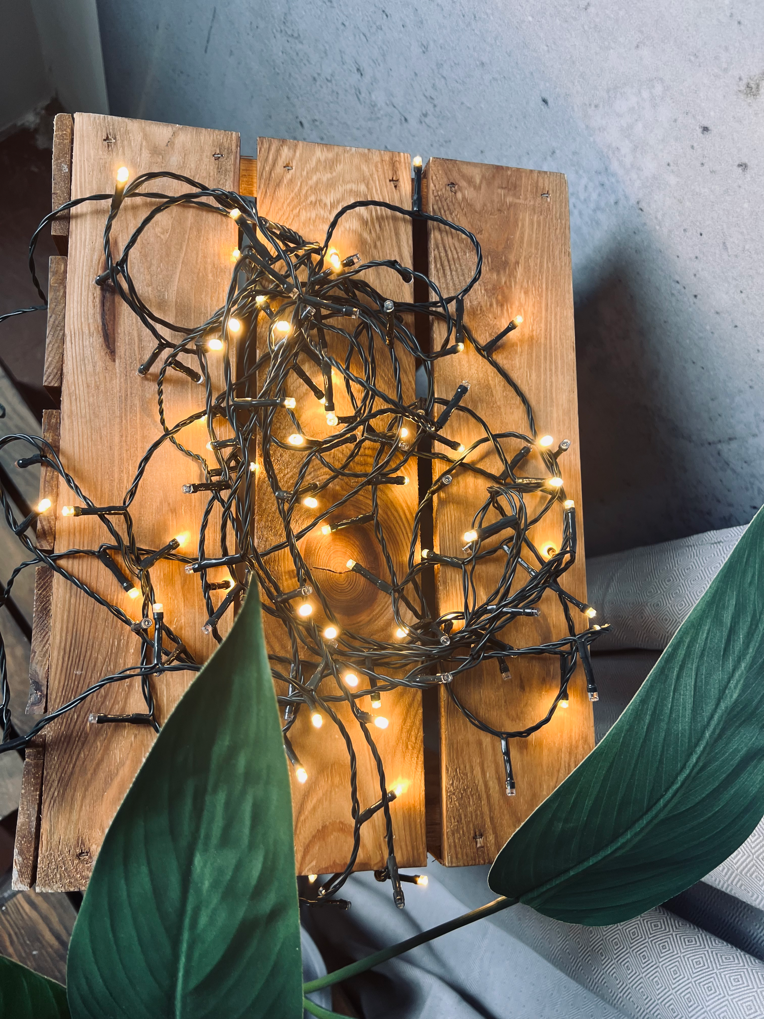 Lampiņas melnā vadā