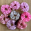 Miniaturbild: Scrunchie Rosa