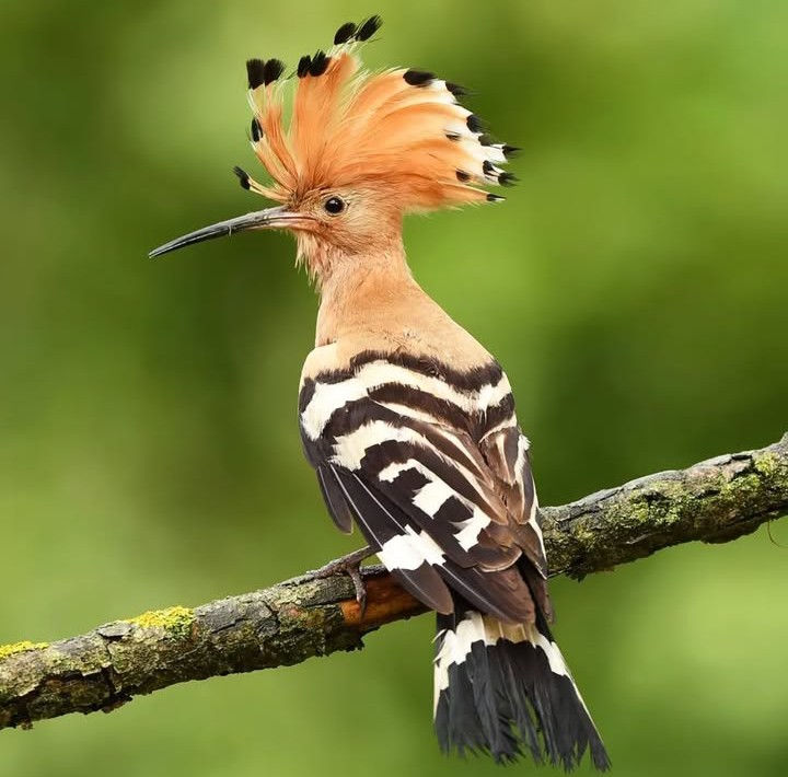 Screenshot_20250728_194448_Instagram