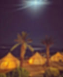 Screenshot_20250728_194542_Instagram