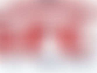 SFC Network to Broadcast Bergenfield vs. Paramus Football Game in Honor of Late Coach Rob Violante