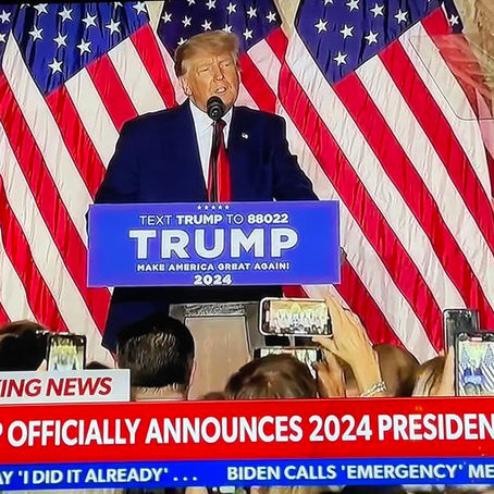 Trump Newsletter November 2022: Trump Announces Presidential Run, Sparks Optimism Amongst The MAGA Base