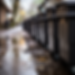 breelanderos_a_line_of_grey_comercial_dumpters_with_rain_drops__10158a65-efaa-4eca-a61b-80