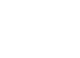 CommUNITY Roots.png