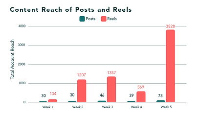 Website Graphics 2.png