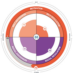 EQ-Wheel-.png