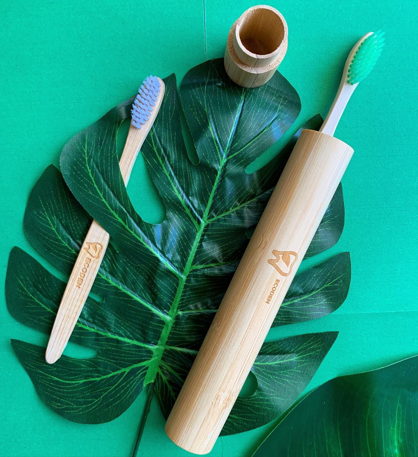 EcoDen Bamboo Toothbrush Holder