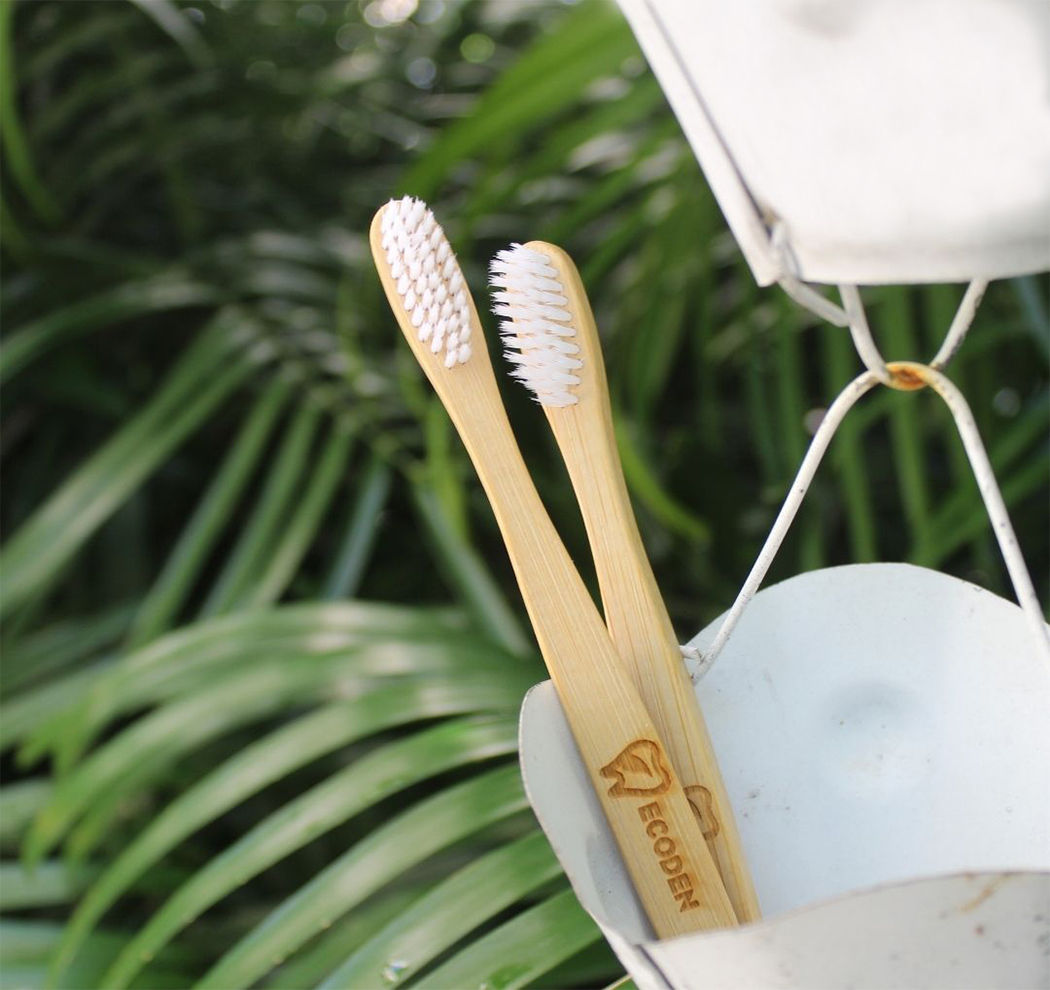 Ecoden Eco-friendly Bamboo Toothbrush