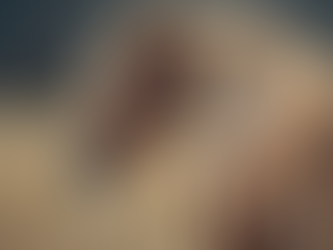 Horseback Riding Techniques with Private Lessons