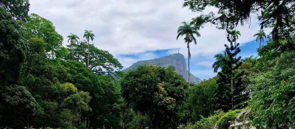 Instagrammable spots at Rio de Janeiro’s Jardim Botânico