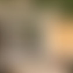 Grab your Credit Cards, Free People has Opened a Malibu Location!