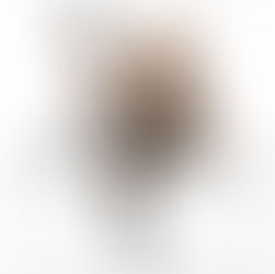 Paco Rabanne’s Runway Reboot Takes Paris