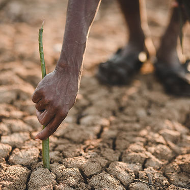 Celebrate Earth Month + Plant Ten Trees When You Shop with These Companies