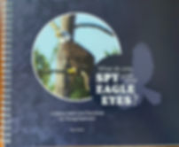 What do you Spy with your Eagle Eyes?