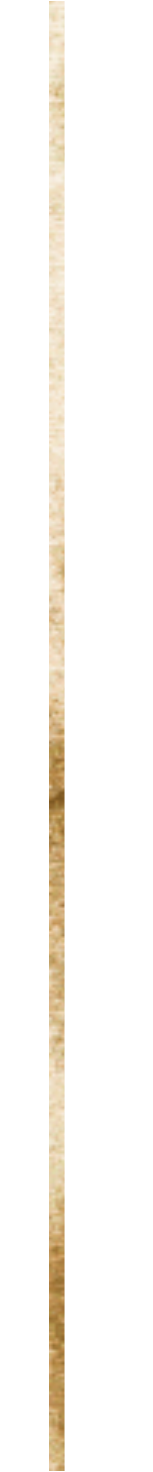 Risco Dourado Logo Reserva Atibaia. Hospedagem exclusiva e vilas design em Atibaia, SP.