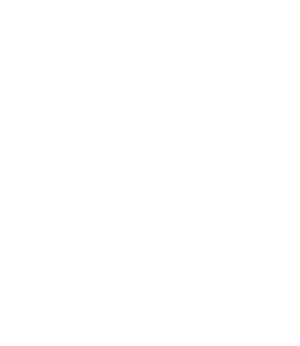 logo-meraki-branco.png