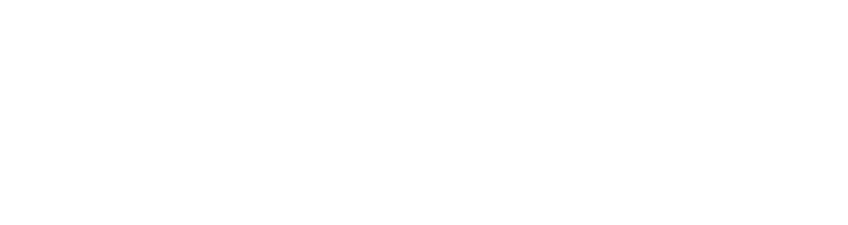 logo_trein_white_4x.png