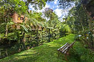 area externa natureza, Estalagem Spiller em Monte Verde 251691.jpg
