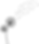 dente de leao vetor.png