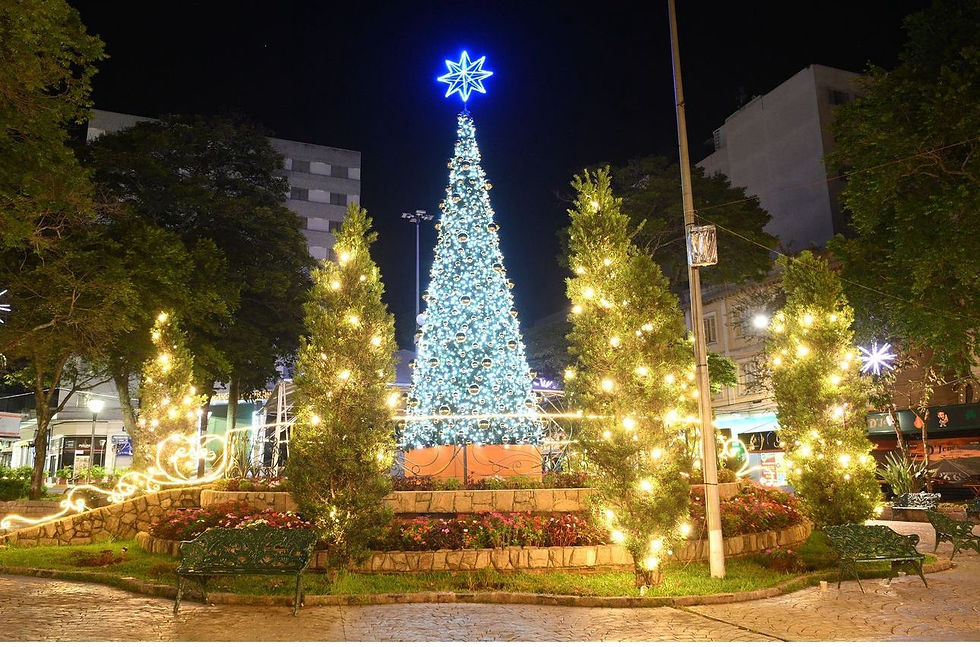 Serra Negra Palace Hotel, natal 2024 6.jpeg