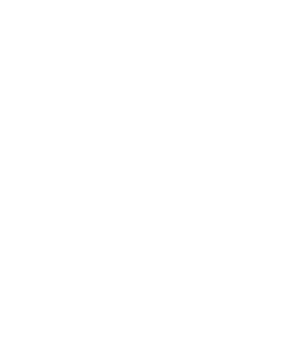 Meraki BJJ Logo