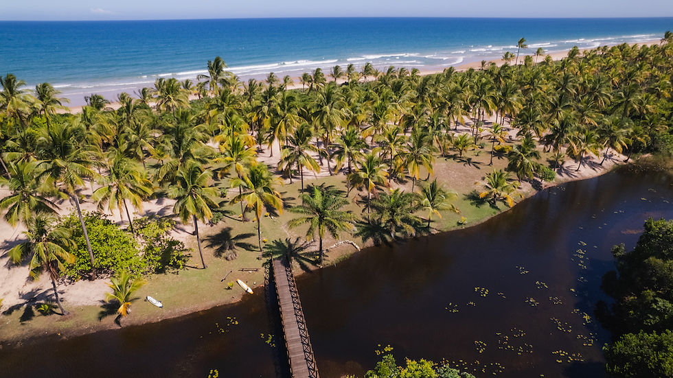 Vista de Drone da Praia de Algodões, Na Península de Maraú, Bahia - Jardim das Bromélias