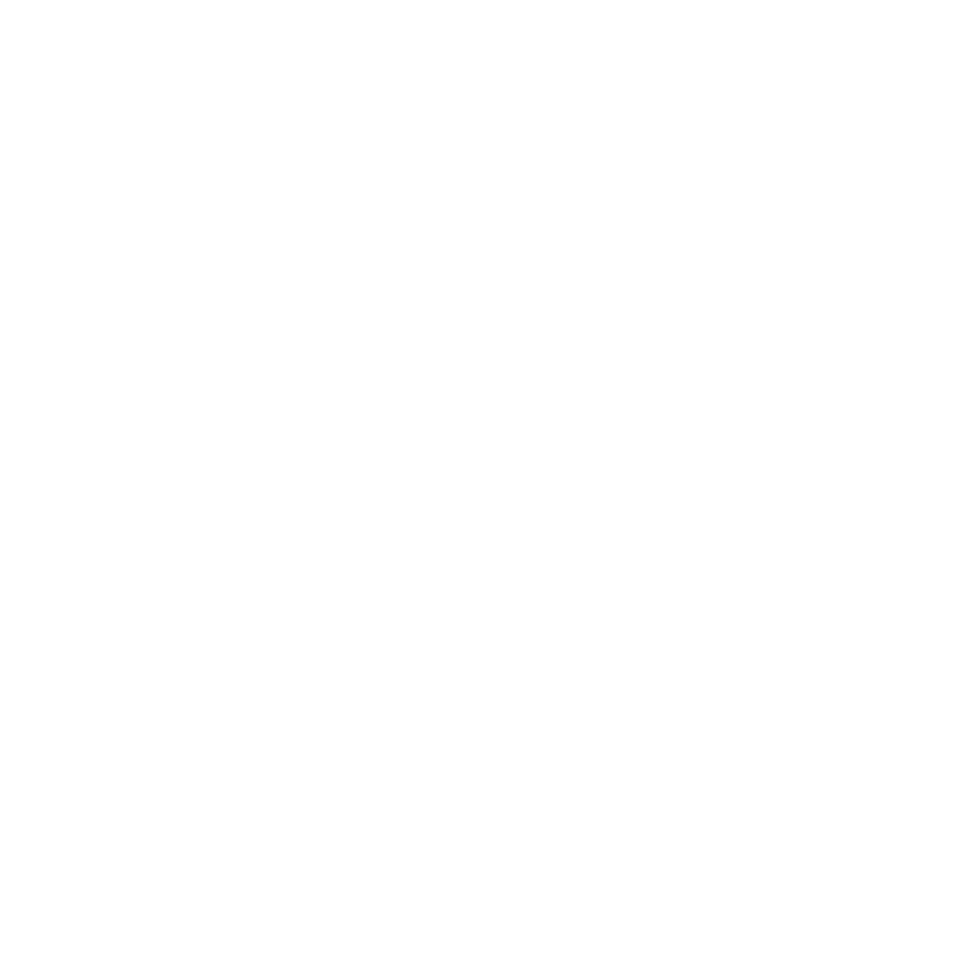 Secador de cabelos.png