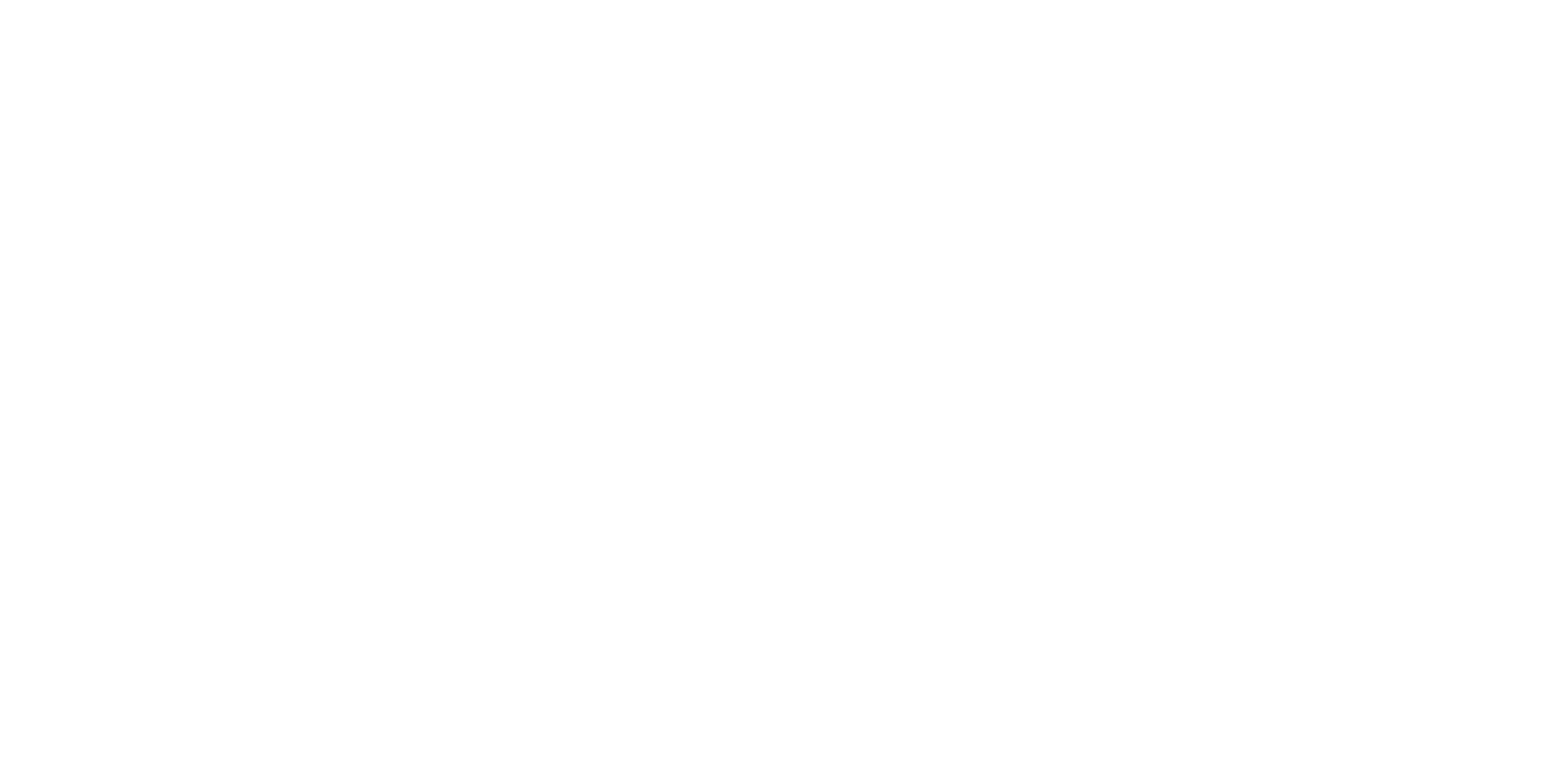Sanches e Sanches, logo horizontal.png