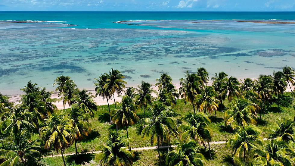 São Miguel dos Milagres, dica de passeio do Sais Beach Living Hotel em Maceió, na Praia de Pajuçara