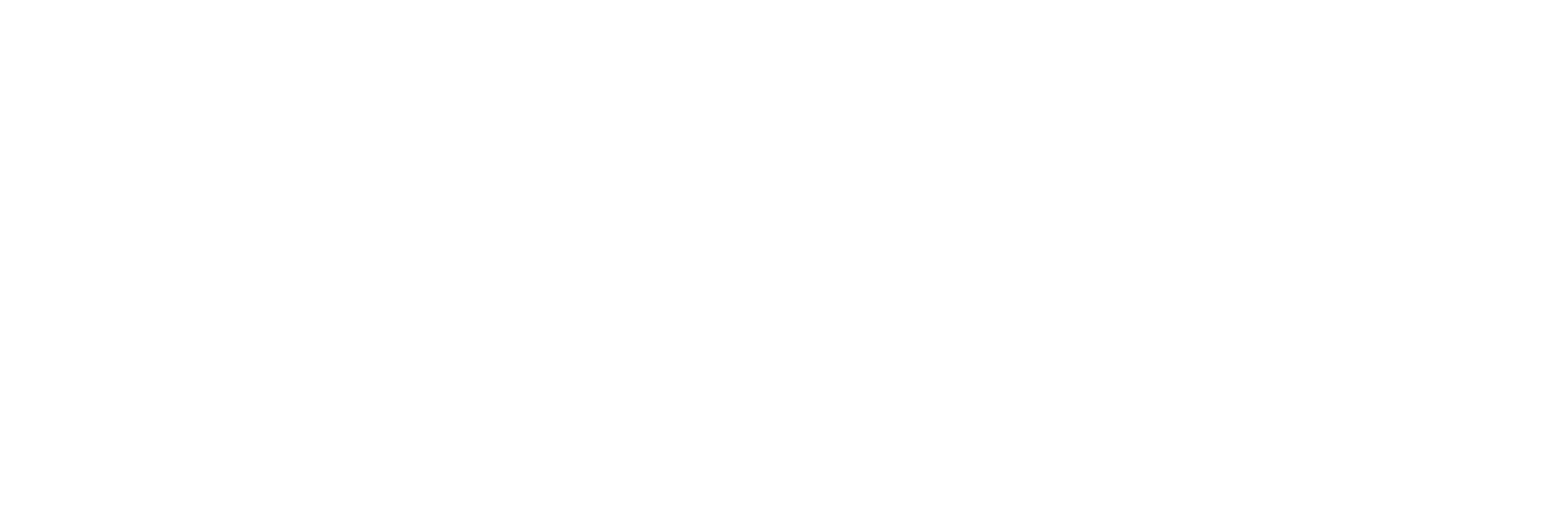 logo-branco-goaforce2.png