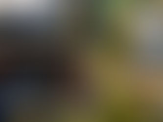 Equipo de producción y actoral de la película Transformes causa algarabía en Tarapoto