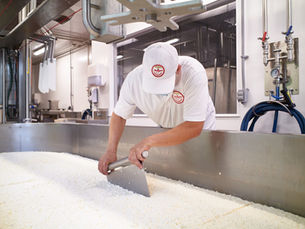 La science du fromage : de la ferme à votre assiette