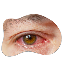 olhos.webp