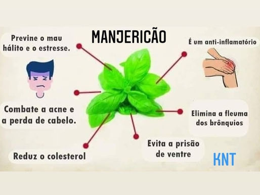 Dica da Semana - Manjericão