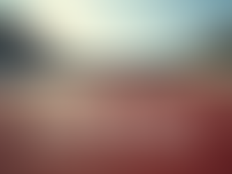 Case Studies: Proven Marketing Achievements That Inspire