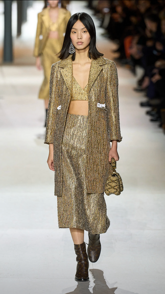Louis Vuitton Fall winter 24 - 25