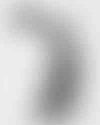 jeremy allen white calvin klein campign