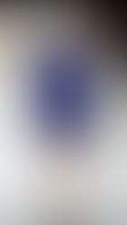 Louis Vuitton Fall winter 24 - 25