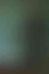 Robert Mapplethorpe, 1984, Sheila Metzner. Pigment print. Gift of The Robert Mapplethorpe Foundation to the J. Paul Getty Trust and the Los Angeles County Museum of Art. © Sheila Metzner