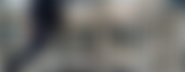 2980 Atlantic Avenue Coquitlam Levo Sam Tabrizi Coquitlam Realtor