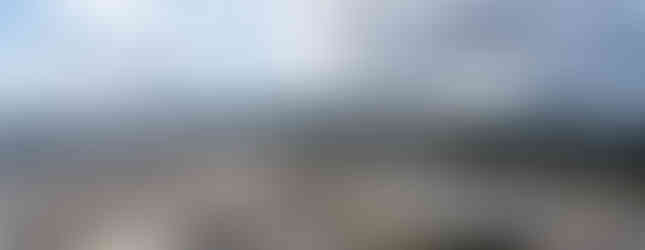 2980 Atlantic Avenue Coquitlam Levo South Facing View