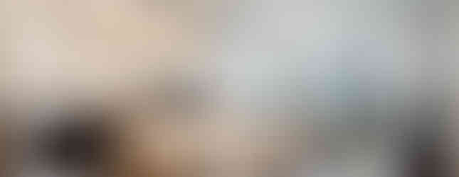 Luxury kitchen with high-end appliances in Burquitlam condo listing.