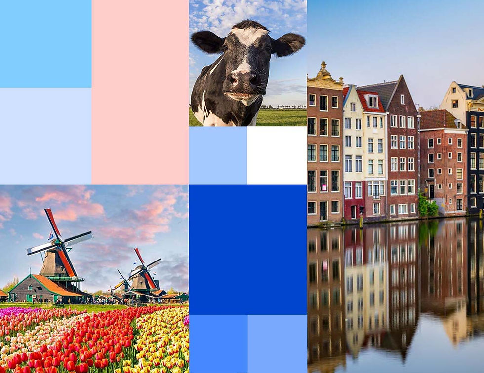 updayed-amsterdam-mood-board-1.jpg