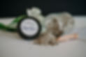 divinebydesignstudio-054.jpg