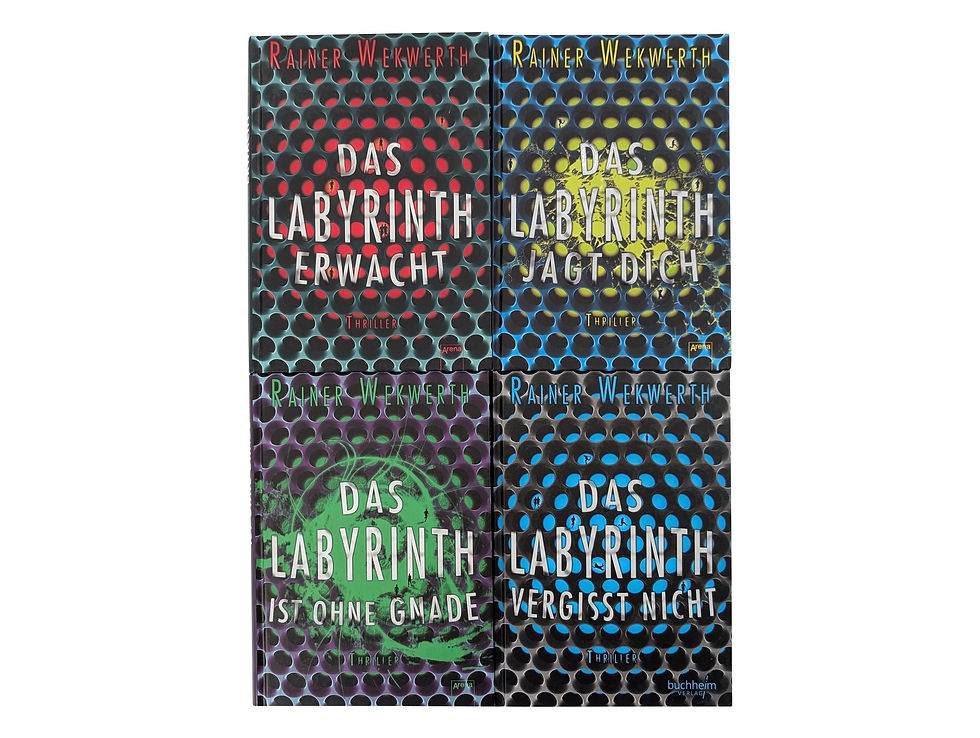 Miniaturbild: Das Labyrinth