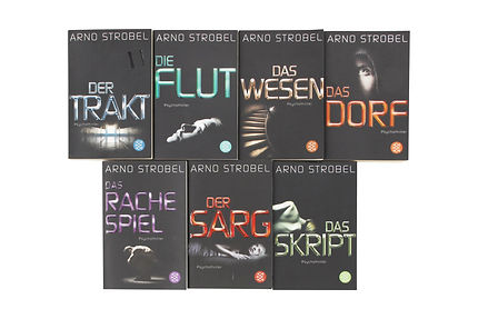 Das Rachespiel, Das Skript, Der Trakt, Das Dorf, Das Wesen, Der Sarg, Die Flut