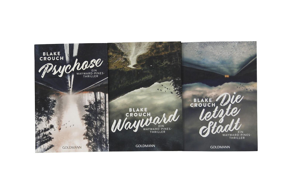 Miniaturbild: Wayward Pines